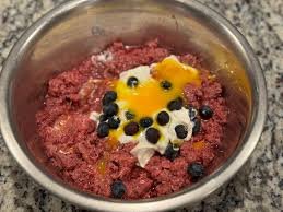 best dog food