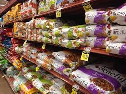 best dog food