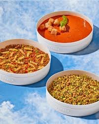 best dog food